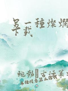 另一种灿烂生活下载