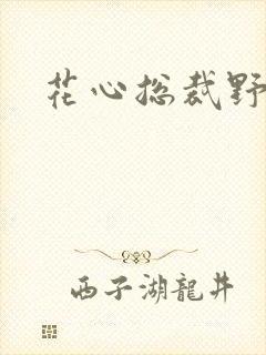 花心总裁野蛮妻