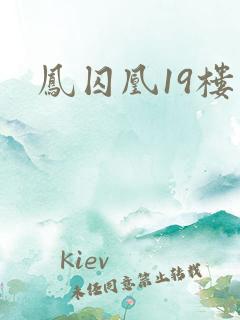 凤囚凰19楼