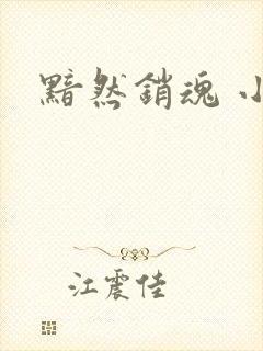 黯然销魂 小说