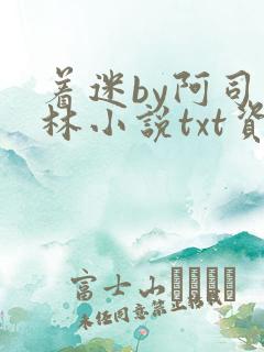 着迷by阿司匹林小说txt资源