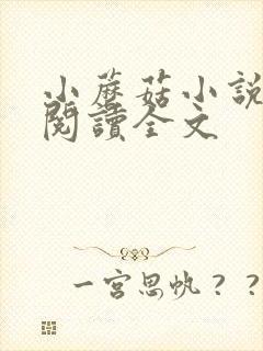 小蘑菇小说免费阅读全文