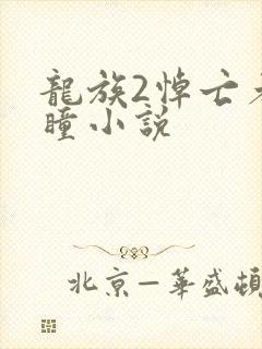 龙族2悼亡者之瞳小说