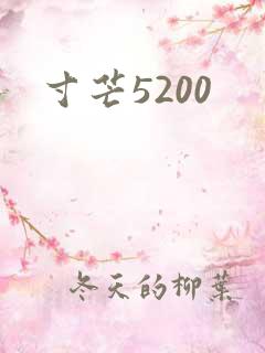 寸芒5200