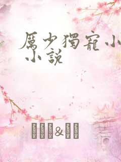 厉少独宠小娇妻 小说