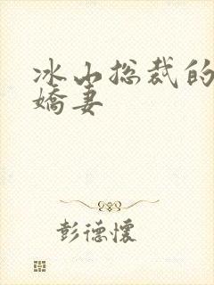 冰山总裁的掠爱娇妻