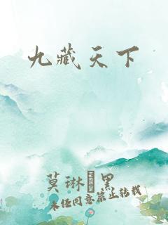 九藏天下