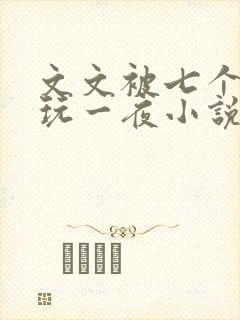 文文被七个男人玩一夜小说