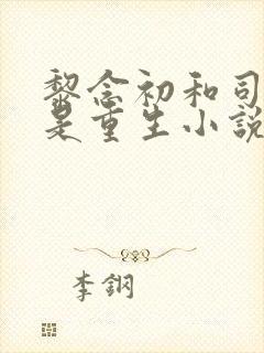 黎念初和司慕城是重生小说