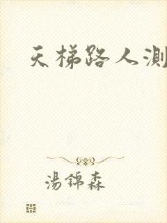 天梯路人测试器