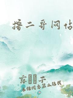 撸二哥网站