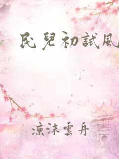 民儿初试风雨录