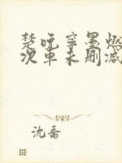 楚晚宁墨燃第一次车未删减