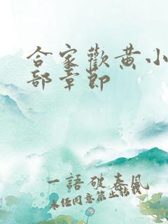 合家欢黄小梅全部章节