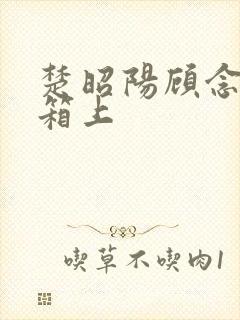 楚昭阳顾念在冰箱上