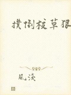 扑倒校草狠狠亲