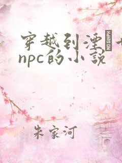 穿越到湮婸世界npc的小说