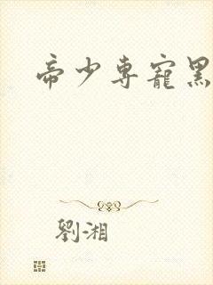 帝少专宠黑道妻