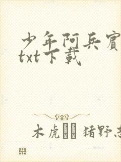 少年阿兵宾小说txt下载