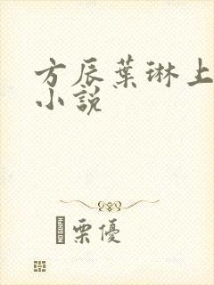 方辰叶琳上官步小说