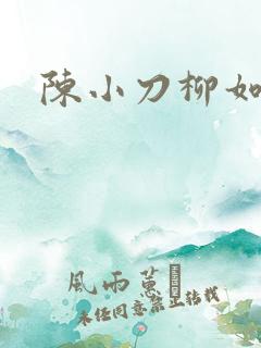 陈小刀柳如意