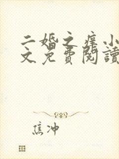 二婚之痒小说全文免费阅读