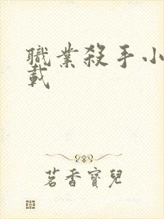 职业杀手小说下载