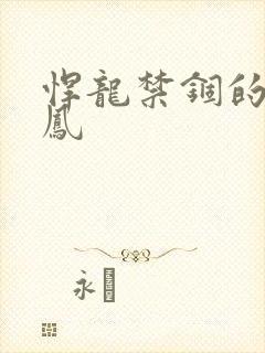 悍龙禁锢的小野凤