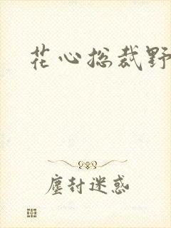 花心总裁野蛮妻