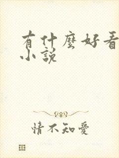 有什么好看的h小说