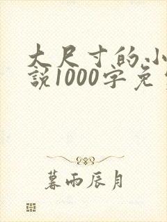 大尺寸的小黄说说1000字免费