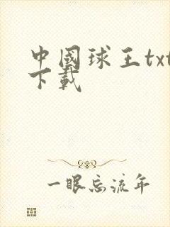 中国球王txt下载