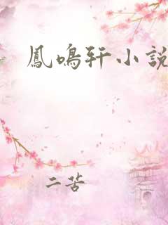 凤鸣轩小说