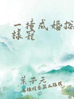 一撞成婚总裁花样宠