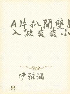 A片扒开双腿进入做爽爽小说