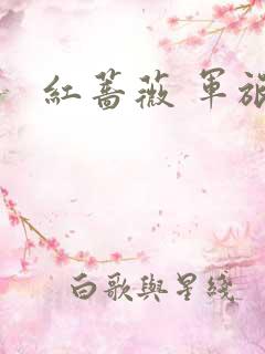红蔷薇 军旅文