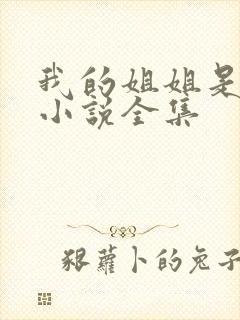 我的姐姐是尤物小说全集