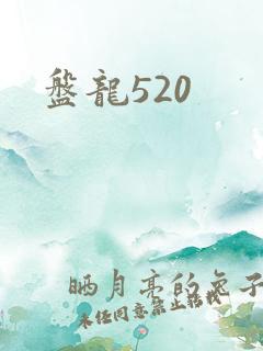 盘龙520