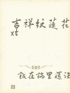 吉祥纹莲花楼txt