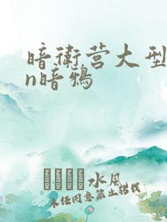 暗卫营大型hpn暗鸦