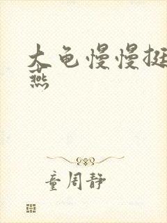 大龟慢慢挺进张燕