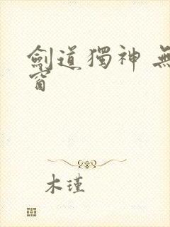 剑道独神 无弹窗