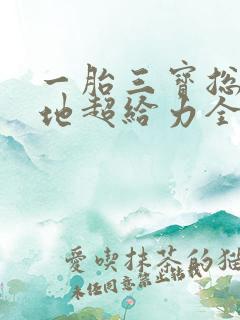 一胎三宝总裁爹地超给力全文免费阅读