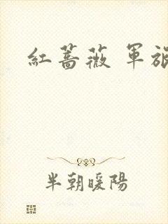红蔷薇 军旅文