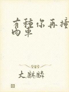 有种你再撞一下肉车