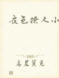 夜色撩人小说
