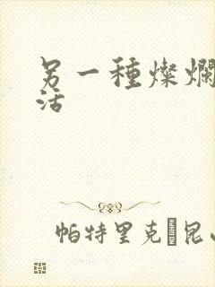 另一种灿烂的生活