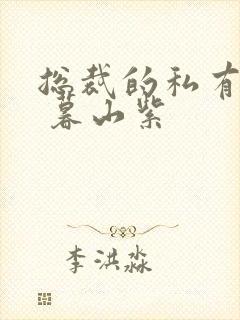 总裁的私有宝贝 暮山紫