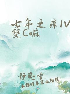 七年之痒1V2双C嘛