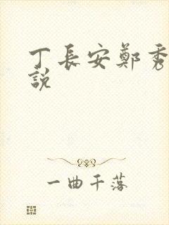 丁长安郑秀兰小说